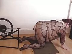 Bbw kutomba baiskeli