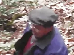 Woods mfululizo - msitu pori